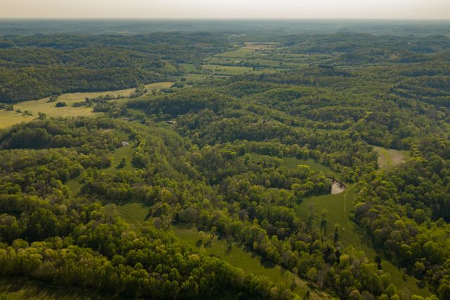 3345 Pigeon Roost Rd, Pulaski, TN 38478