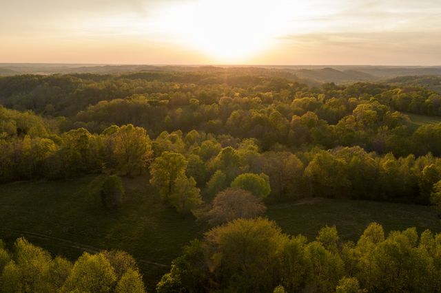 3345 Pigeon Roost Rd, Pulaski, TN 38478