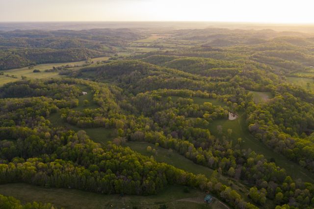 3345 Pigeon Roost Rd, Pulaski, TN 38478