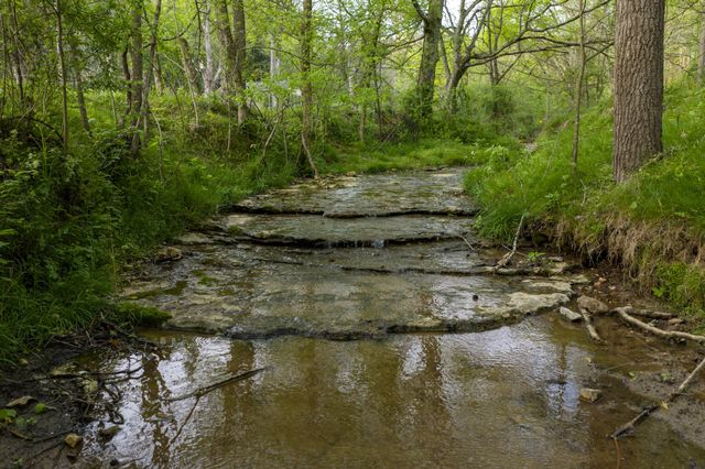 3345 Pigeon Roost Rd, Pulaski, TN 38478