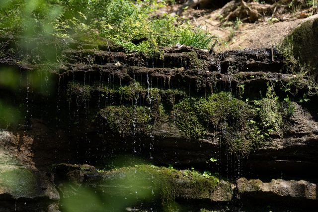 3345 Pigeon Roost Rd, Pulaski, TN 38478