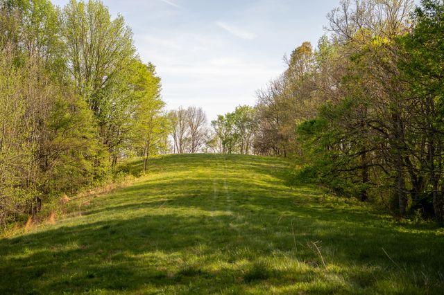 3345 Pigeon Roost Rd, Pulaski, TN 38478