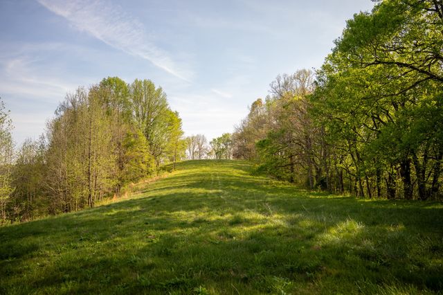 3345 Pigeon Roost Rd, Pulaski, TN 38478