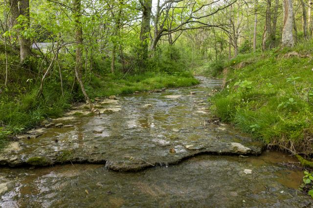 3345 Pigeon Roost Rd, Pulaski, TN 38478