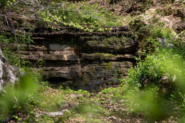 3345 Pigeon Roost Rd, Pulaski, TN 38478