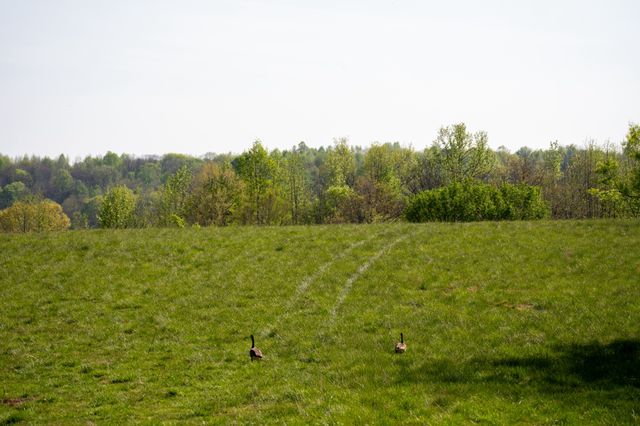 3345 Pigeon Roost Rd, Pulaski, TN 38478