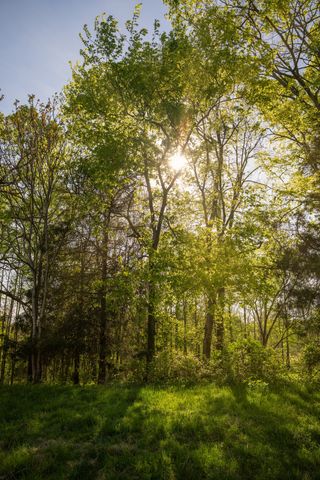 3345 Pigeon Roost Rd, Pulaski, TN 38478