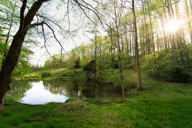 3345 Pigeon Roost Rd, Pulaski, TN 38478