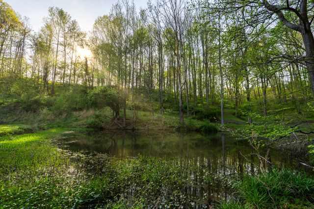 3345 Pigeon Roost Rd, Pulaski, TN 38478