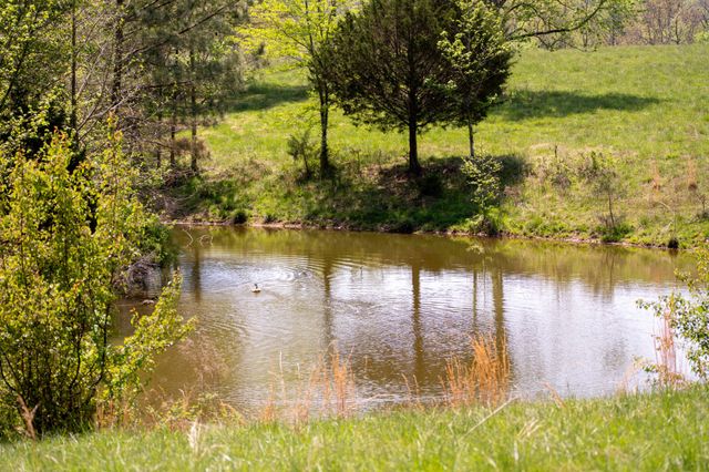 3345 Pigeon Roost Rd, Pulaski, TN 38478