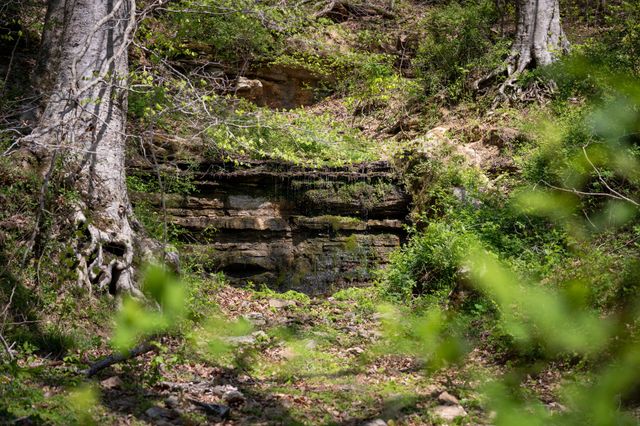 3345 Pigeon Roost Rd, Pulaski, TN 38478