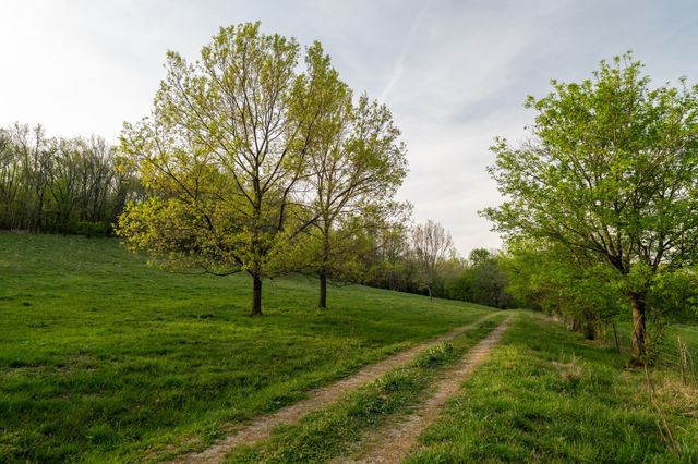 3345 Pigeon Roost Rd, Pulaski, TN 38478