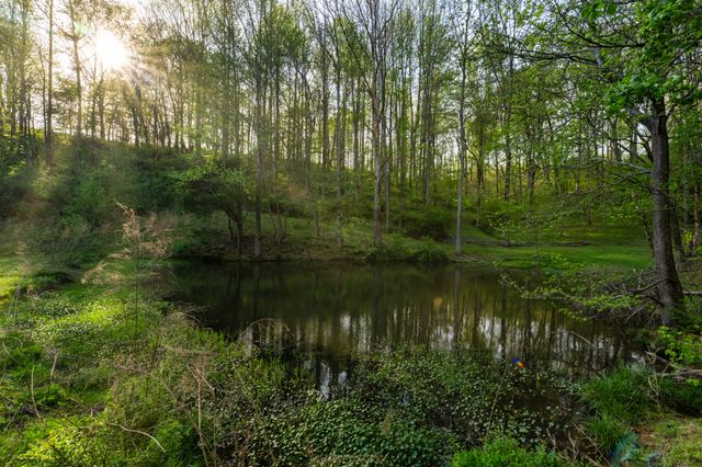 3345 Pigeon Roost Rd, Pulaski, TN 38478