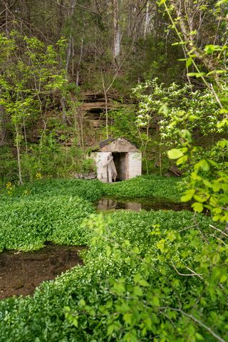 3345 Pigeon Roost Rd, Pulaski, TN 38478