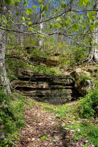 3345 Pigeon Roost Rd, Pulaski, TN 38478