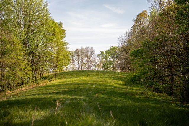 3345 Pigeon Roost Rd, Pulaski, TN 38478