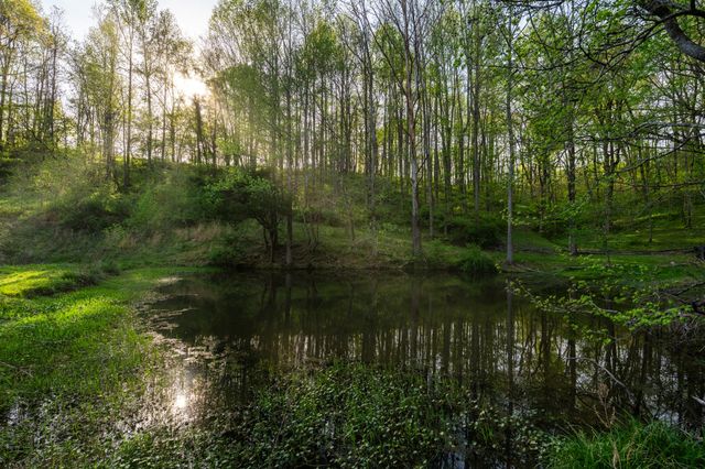 3345 Pigeon Roost Rd, Pulaski, TN 38478