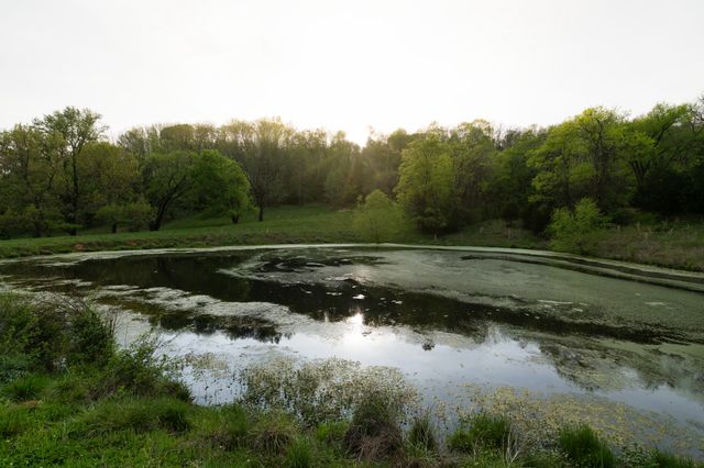 3345 Pigeon Roost Rd, Pulaski, TN 38478