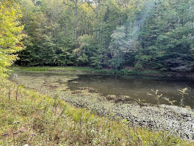 2836 Hwy 987 Laurel Hill, Pineville, KY 40977