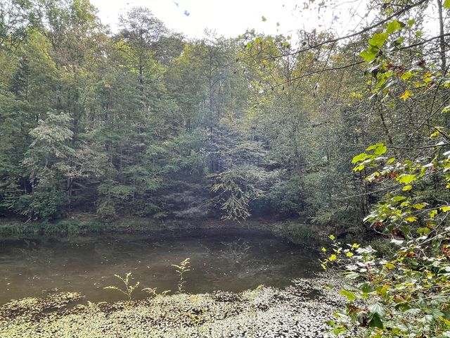 2836 Hwy 987 Laurel Hill, Pineville, KY 40977