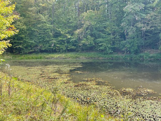 2836 Hwy 987 Laurel Hill, Pineville, KY 40977