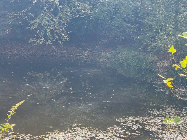 2836 Hwy 987 Laurel Hill, Pineville, KY 40977