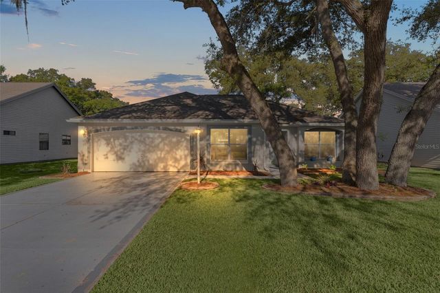 206 DESOTA COURT, The Villages, FL 32159