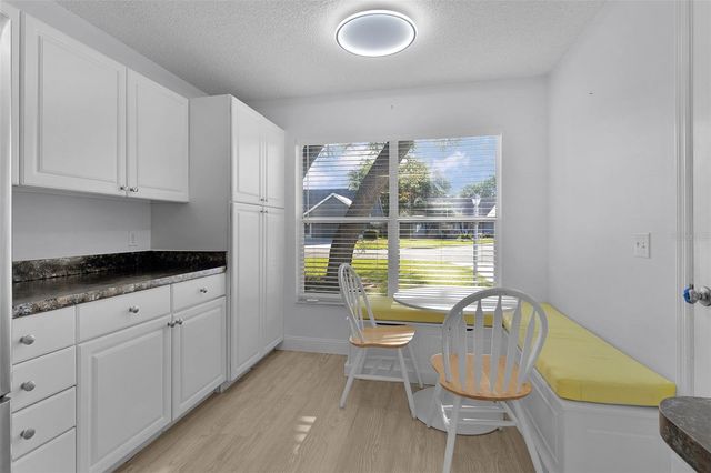 206 DESOTA COURT, The Villages, FL 32159