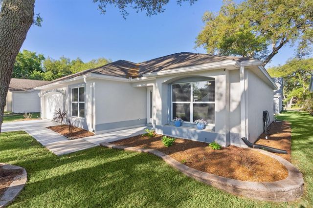 206 DESOTA COURT, The Villages, FL 32159