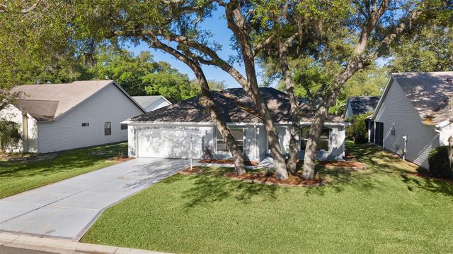 206 DESOTA COURT, The Villages, FL 32159
