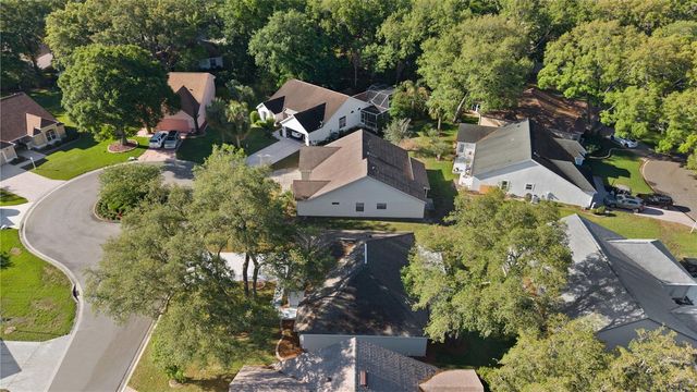 206 DESOTA COURT, The Villages, FL 32159