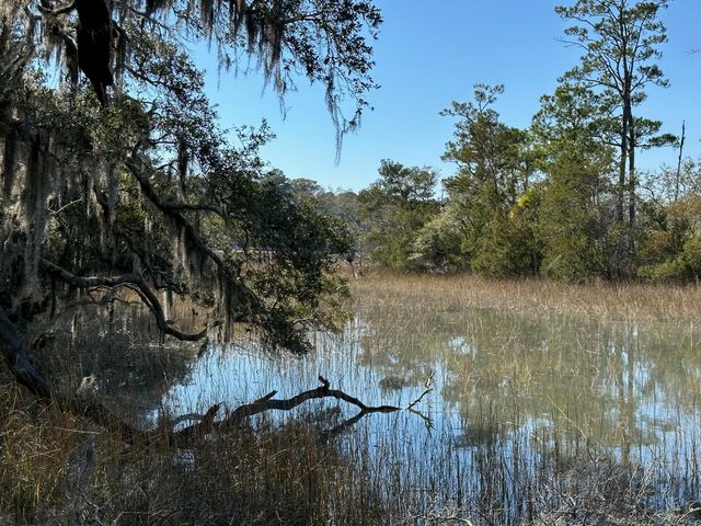 0 Allandale Plantation Road, Wadmalaw Island, SC 29487
