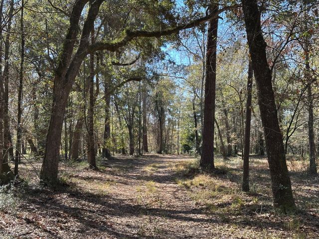 0 Allandale Plantation Road, Wadmalaw Island, SC 29487