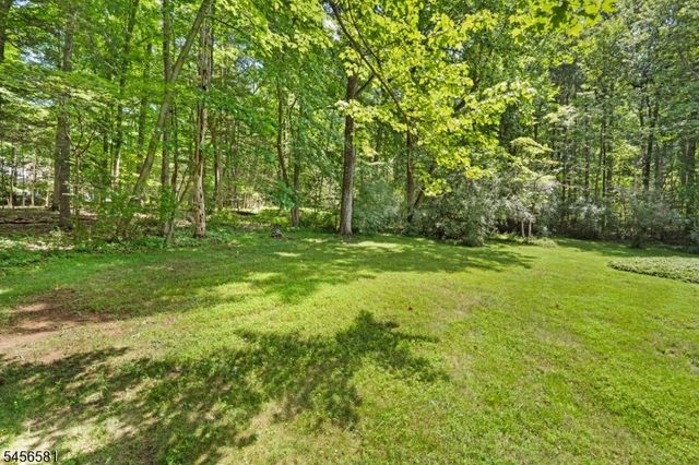 155 Buffalo Hollow Rd, Lebanon Twp., NJ 08826
