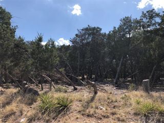 4310 LIBERTY LN, Lago Vista, TX 78645