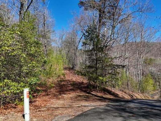 LT24 Mission Ridge Court, Hayesville, NC 28904