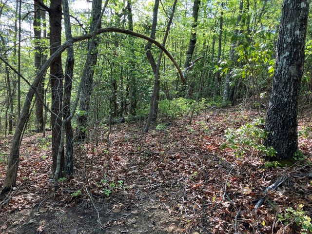 LT24 Mission Ridge Court, Hayesville, NC 28904
