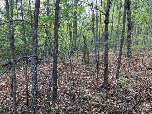 LT24 Mission Ridge Court, Hayesville, NC 28904