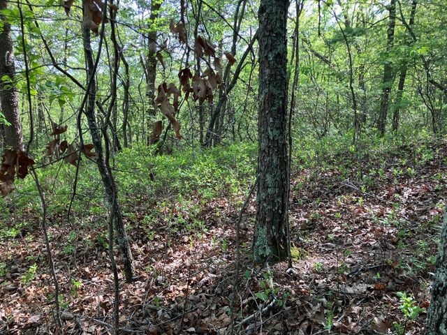 LT24 Mission Ridge Court, Hayesville, NC 28904