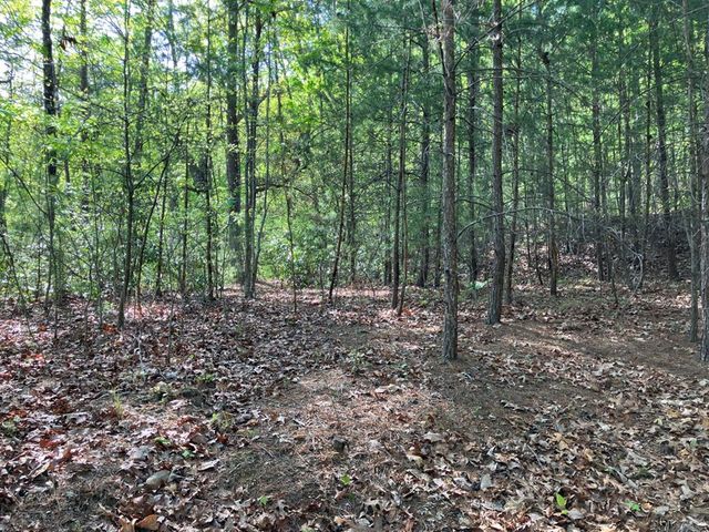 LT24 Mission Ridge Court, Hayesville, NC 28904
