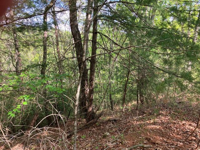 LT24 Mission Ridge Court, Hayesville, NC 28904