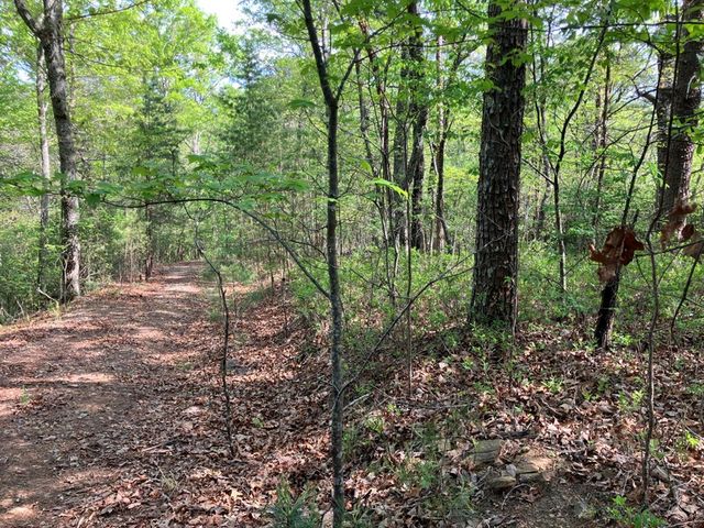 LT24 Mission Ridge Court, Hayesville, NC 28904
