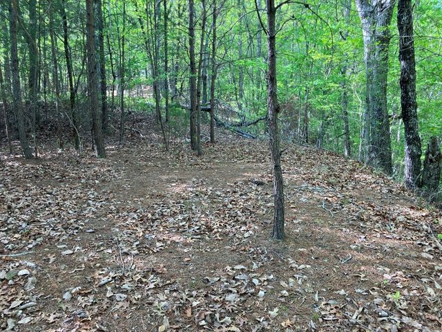 LT24 Mission Ridge Court, Hayesville, NC 28904