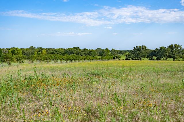 923 Natty Flat Road Farm-Ranch, Lipan, TX 76462