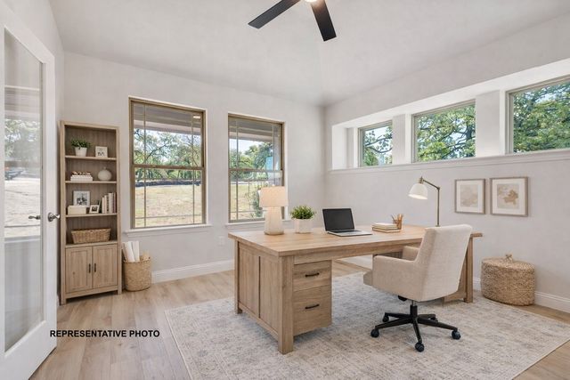 324 Skeen Peak Drive, Springtown, TX 76082