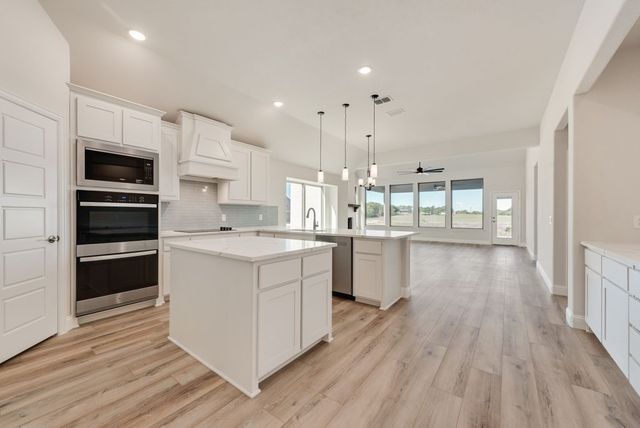 324 Skeen Peak Drive, Springtown, TX 76082