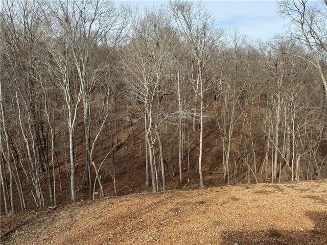 9 Richmond Lane, Bella Vista, AR 72714