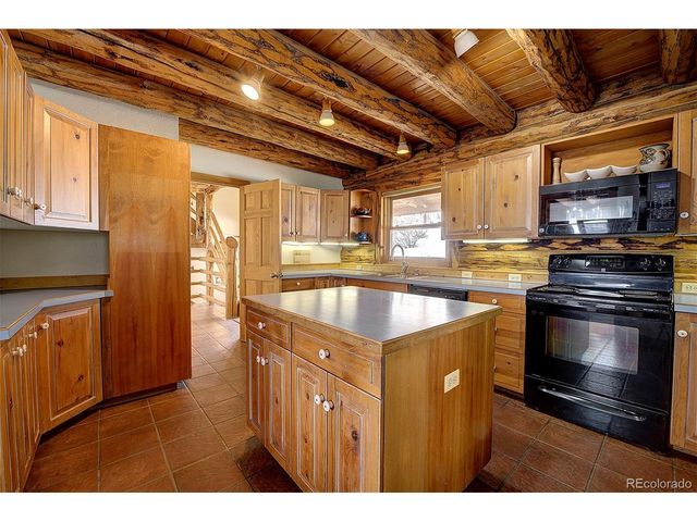 14372 Jubilee Trl, Pine, CO 80470