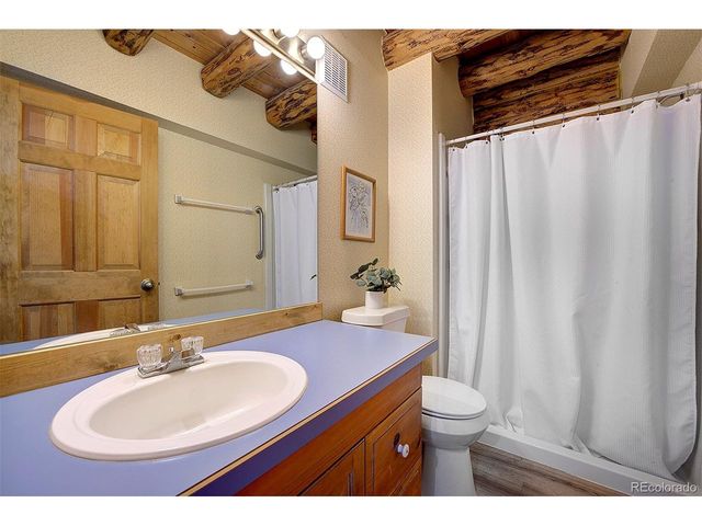 14372 Jubilee Trl, Pine, CO 80470