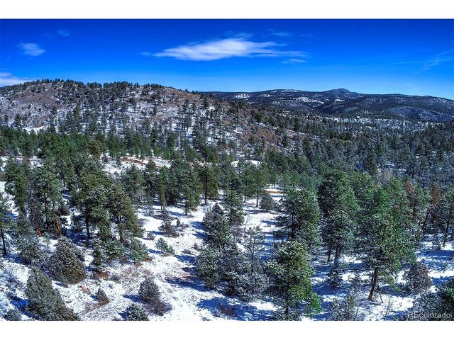 14372 Jubilee Trl, Pine, CO 80470